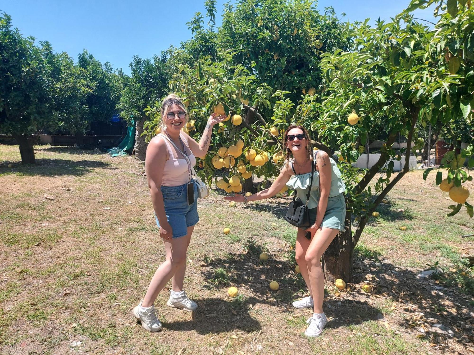 Appartamento Made In Napoli